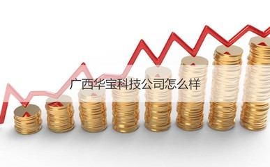 广西华宝科技公司概况与计算机网络科技领域发展前瞻